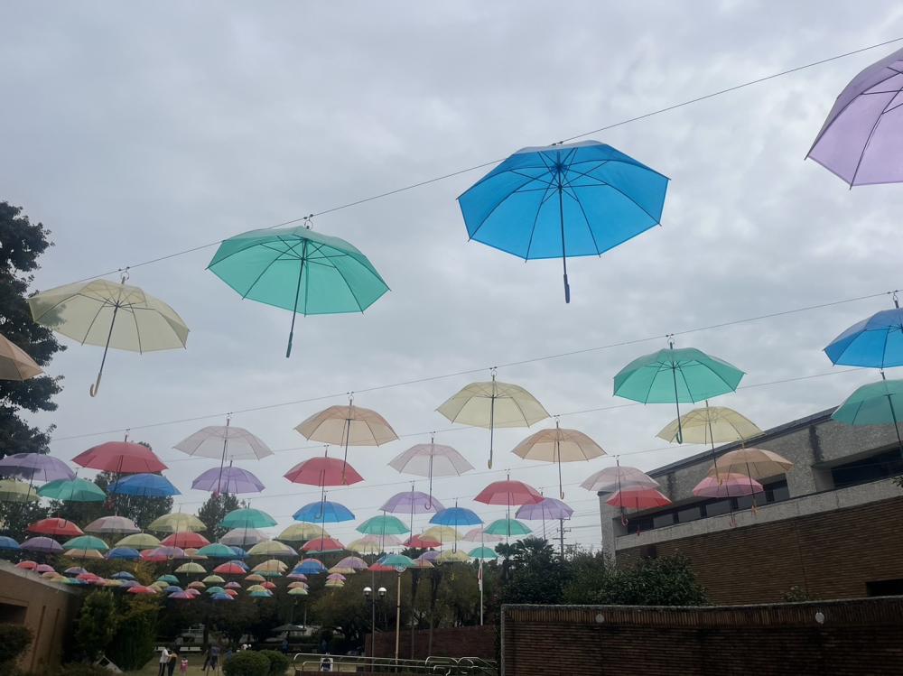 雨の日の過ごし方☔